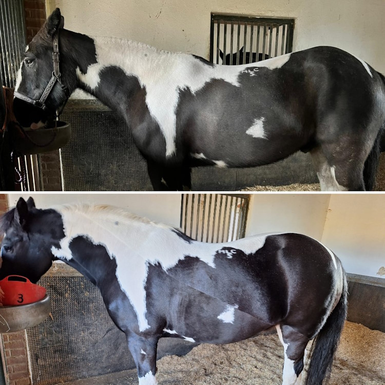 Treatment comparison